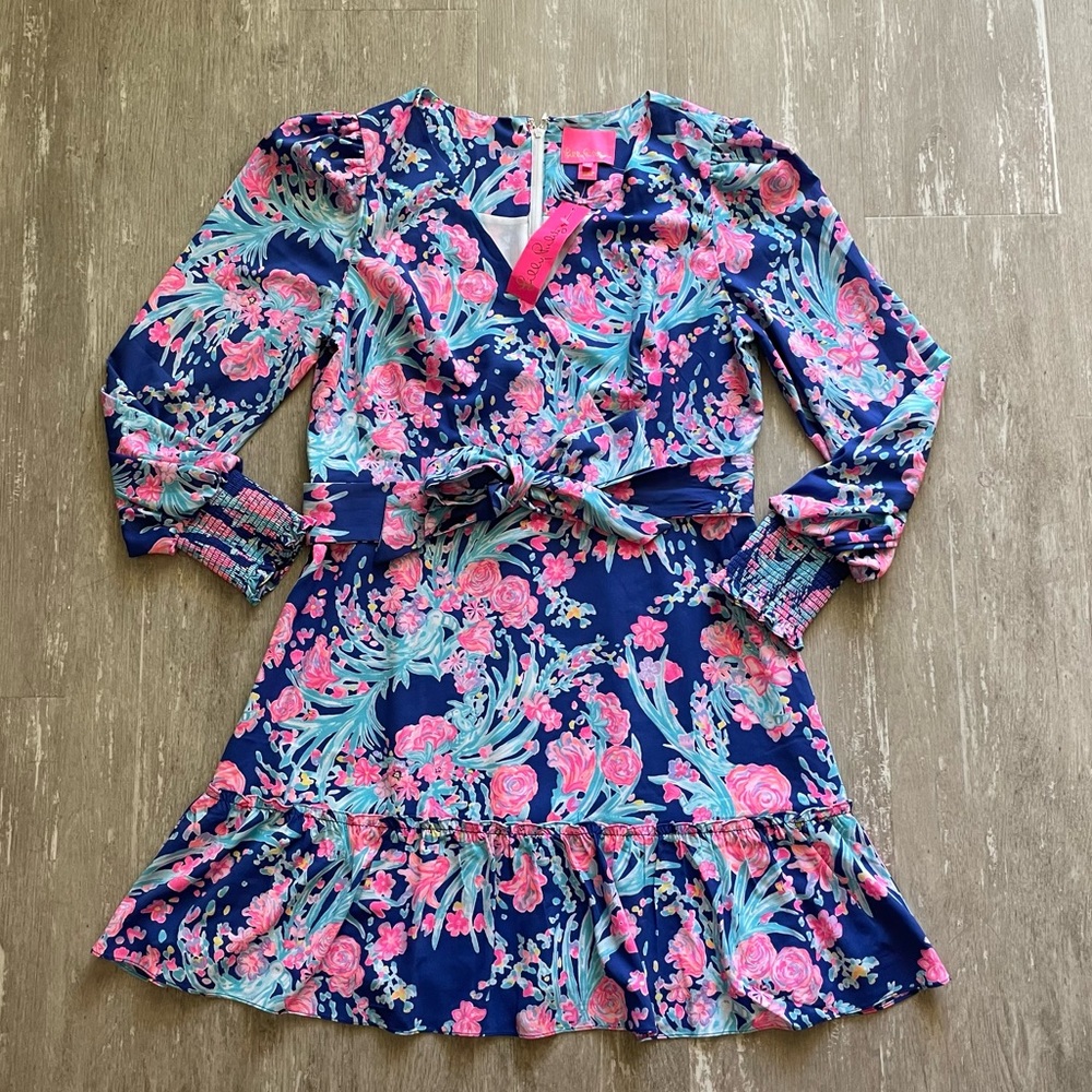 Sold Lilly Pulitzer Rosie Stretch Dress - Toucan Party - Picture 2 of 12